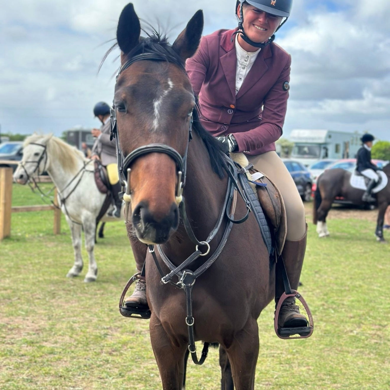 15.1hh Bay Gelding ISH All Rounder