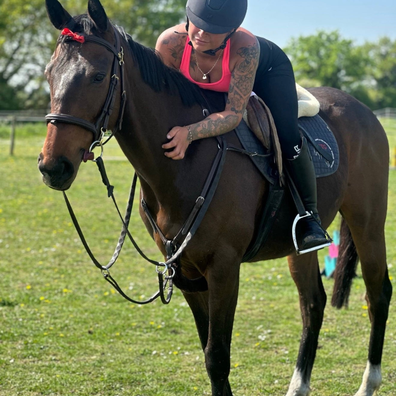 15.1hh Bay Gelding ISH All Rounder