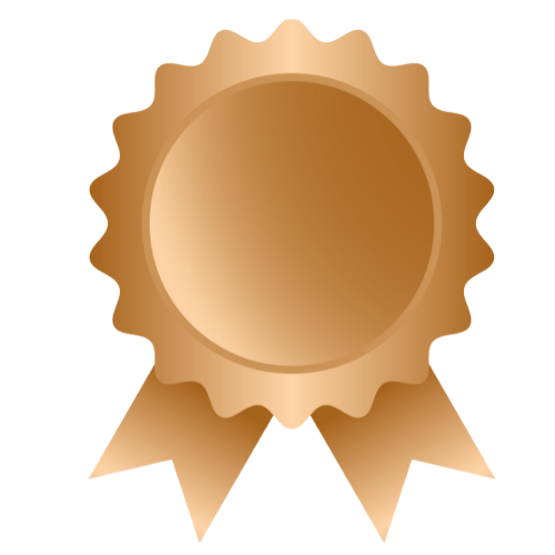 BRONZE PACKAGE (SERVICES)
