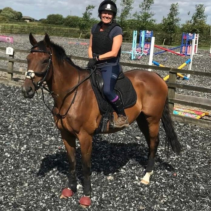 16.1hh Bay Thoroughbred