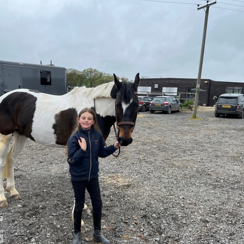 16.2hh Tri-Coloured Gelding All Rounder British Warm Blood