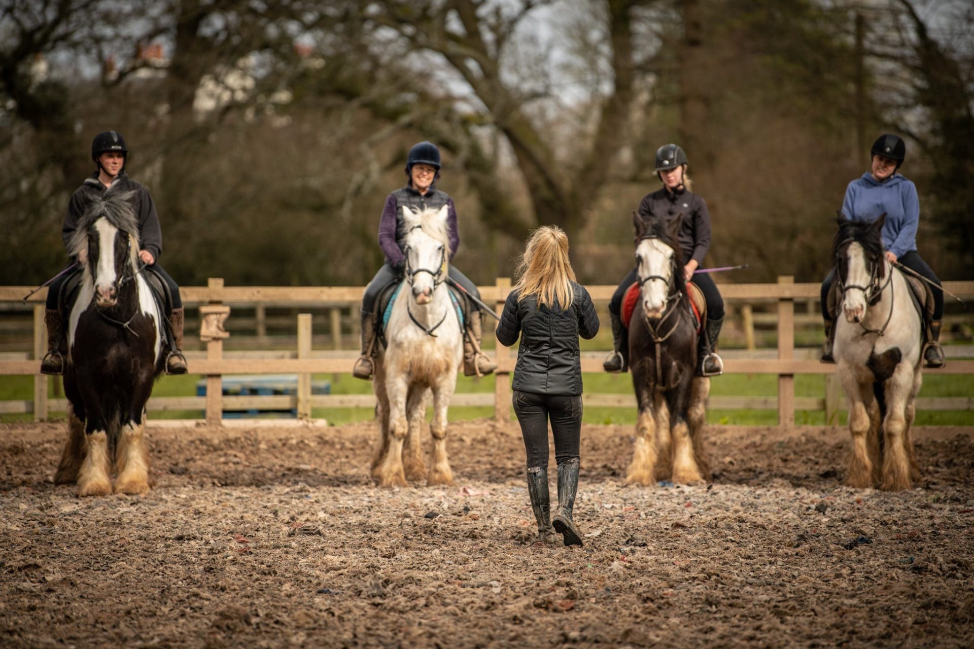 equestrian services