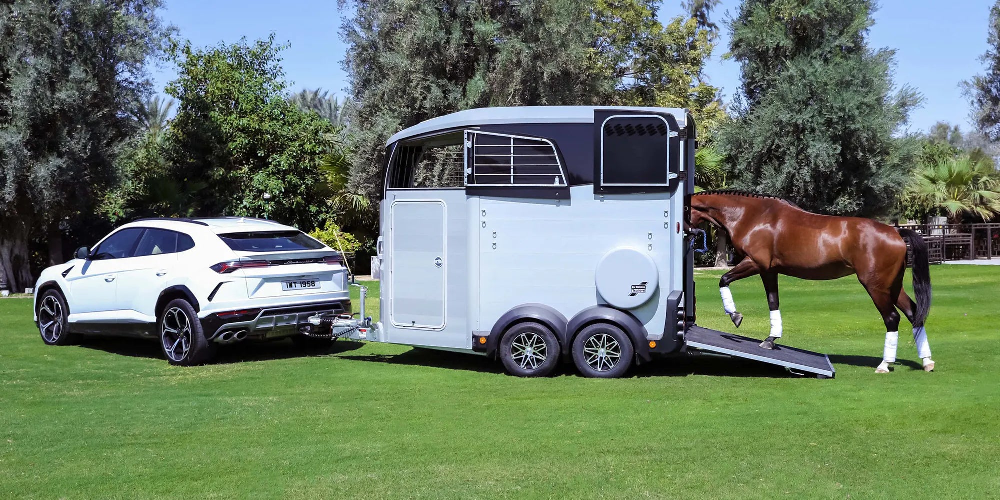 horse trailers for sale