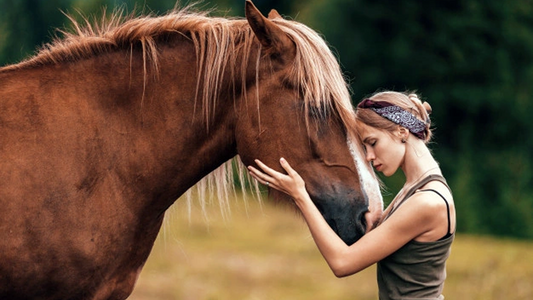 How to Tell If a Horse Likes You