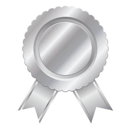 SILVER PACKAGE (SERVICES)