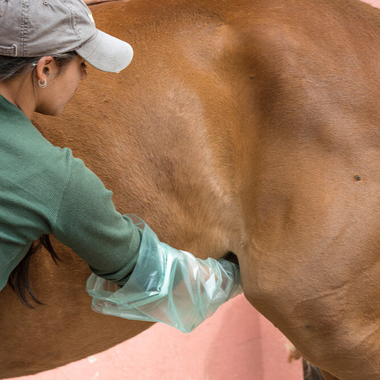 Sheath Cleaning