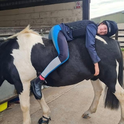 13.1hh Cob x Second Pony