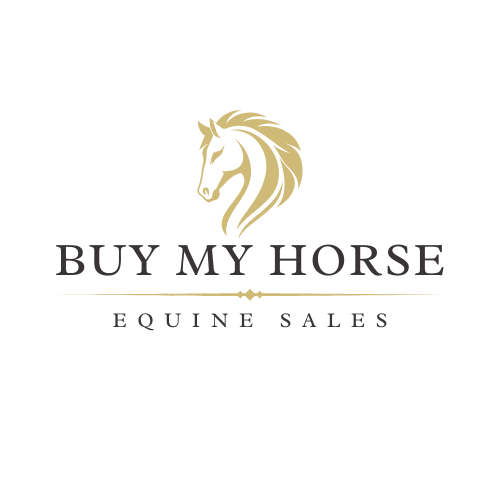 Buy My Horse - horses for sale