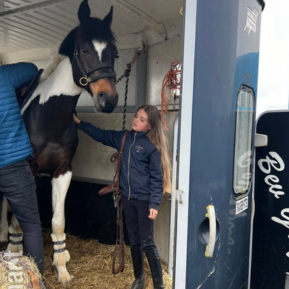 16.2hh Tri-Coloured Gelding All Rounder British Warm Blood